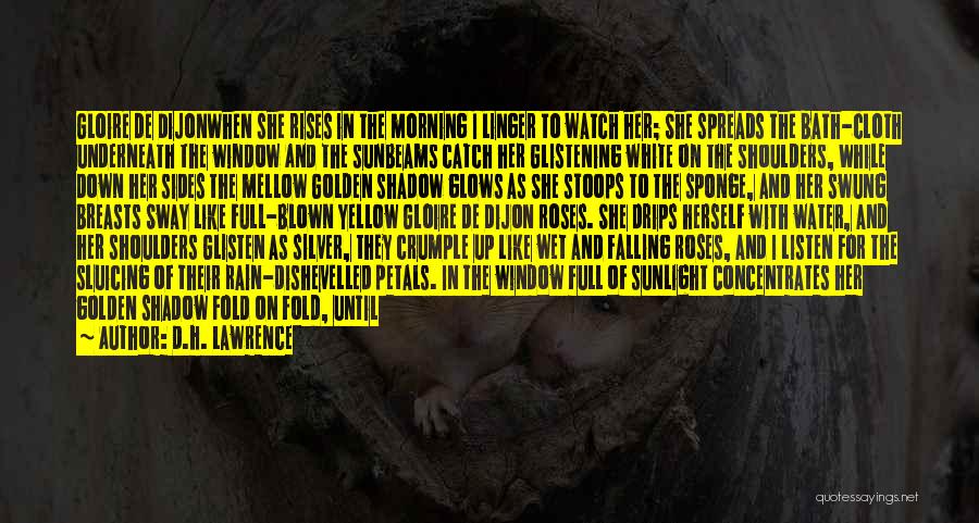 D.H. Lawrence Quotes: Gloire De Dijonwhen She Rises In The Morning I Linger To Watch Her; She Spreads The Bath-cloth Underneath The Window