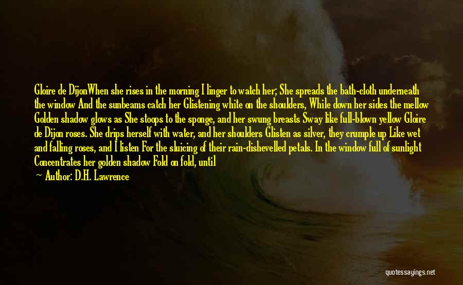 D.H. Lawrence Quotes: Gloire De Dijonwhen She Rises In The Morning I Linger To Watch Her; She Spreads The Bath-cloth Underneath The Window