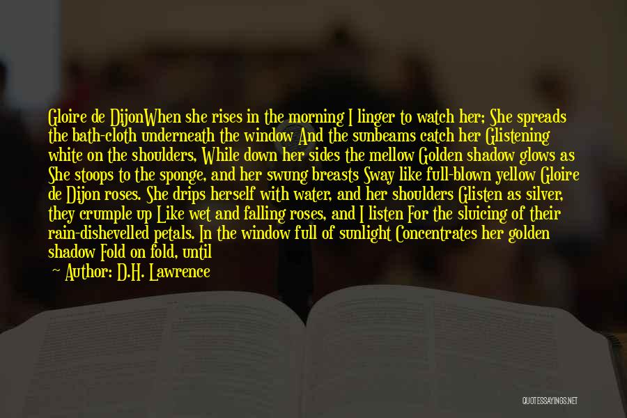 D.H. Lawrence Quotes: Gloire De Dijonwhen She Rises In The Morning I Linger To Watch Her; She Spreads The Bath-cloth Underneath The Window