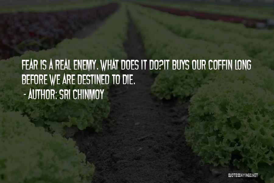 Sri Chinmoy Quotes: Fear Is A Real Enemy. What Does It Do?it Buys Our Coffin Long Before We Are Destined To Die.