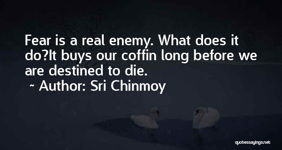 Sri Chinmoy Quotes: Fear Is A Real Enemy. What Does It Do?it Buys Our Coffin Long Before We Are Destined To Die.