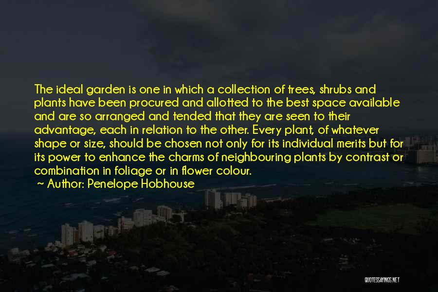 Penelope Hobhouse Quotes: The Ideal Garden Is One In Which A Collection Of Trees, Shrubs And Plants Have Been Procured And Allotted To