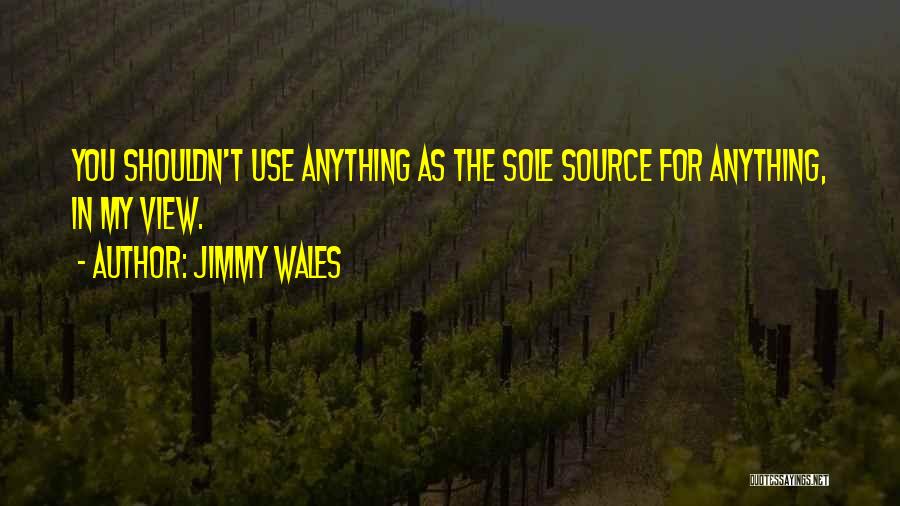 Jimmy Wales Quotes: You Shouldn't Use Anything As The Sole Source For Anything, In My View.