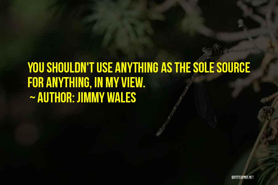 Jimmy Wales Quotes: You Shouldn't Use Anything As The Sole Source For Anything, In My View.