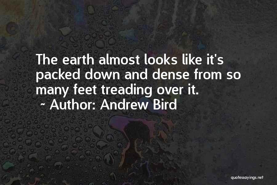 Andrew Bird Quotes: The Earth Almost Looks Like It's Packed Down And Dense From So Many Feet Treading Over It.