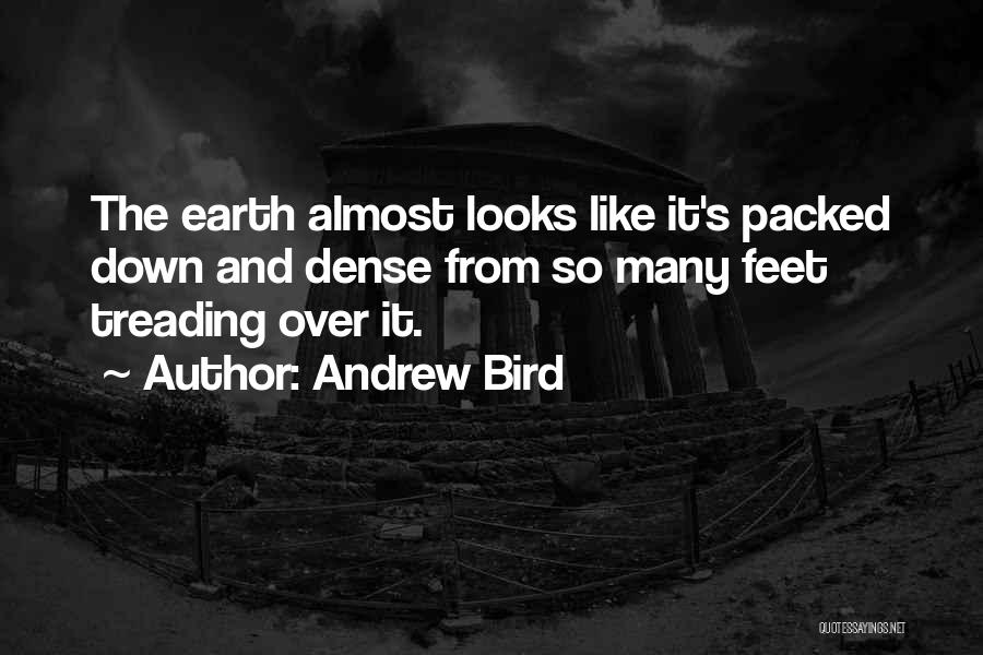 Andrew Bird Quotes: The Earth Almost Looks Like It's Packed Down And Dense From So Many Feet Treading Over It.