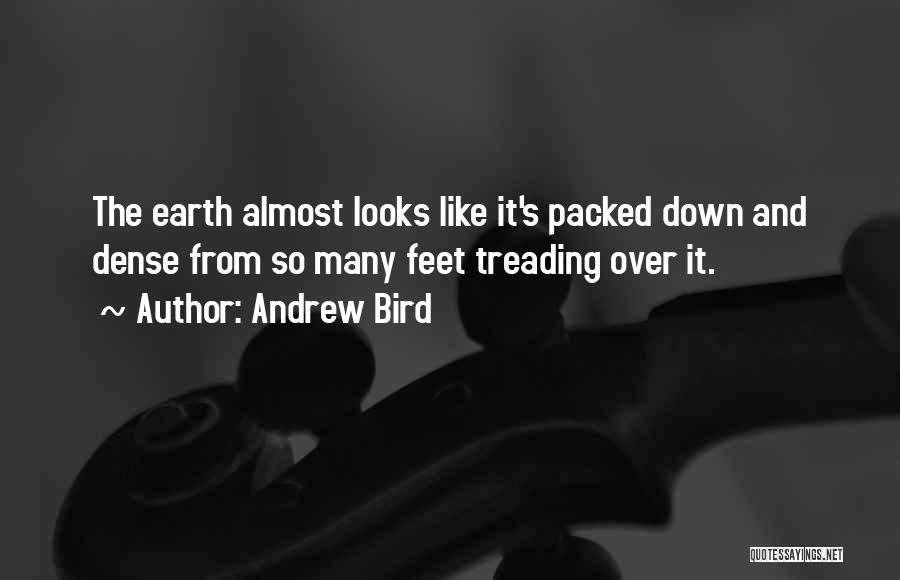 Andrew Bird Quotes: The Earth Almost Looks Like It's Packed Down And Dense From So Many Feet Treading Over It.