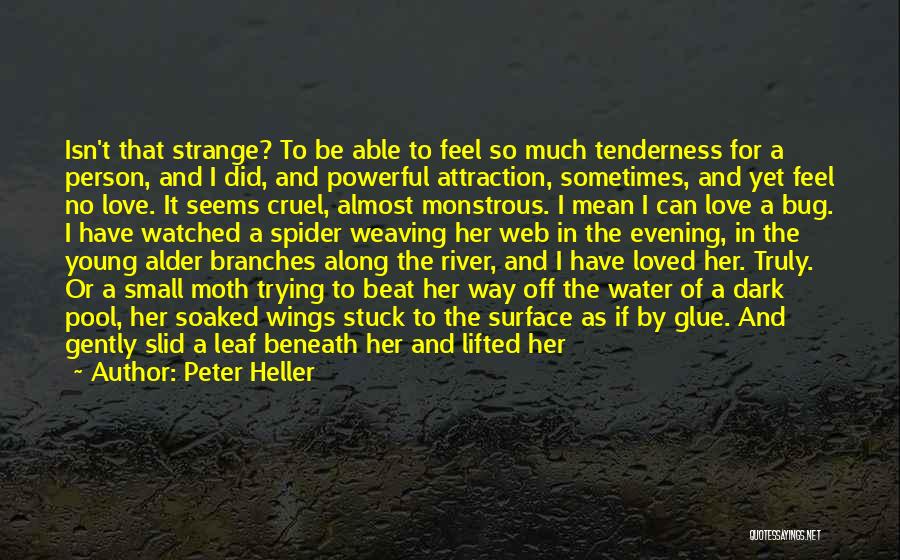 Peter Heller Quotes: Isn't That Strange? To Be Able To Feel So Much Tenderness For A Person, And I Did, And Powerful Attraction,