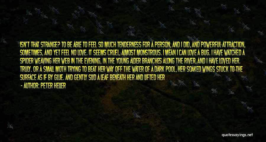 Peter Heller Quotes: Isn't That Strange? To Be Able To Feel So Much Tenderness For A Person, And I Did, And Powerful Attraction,