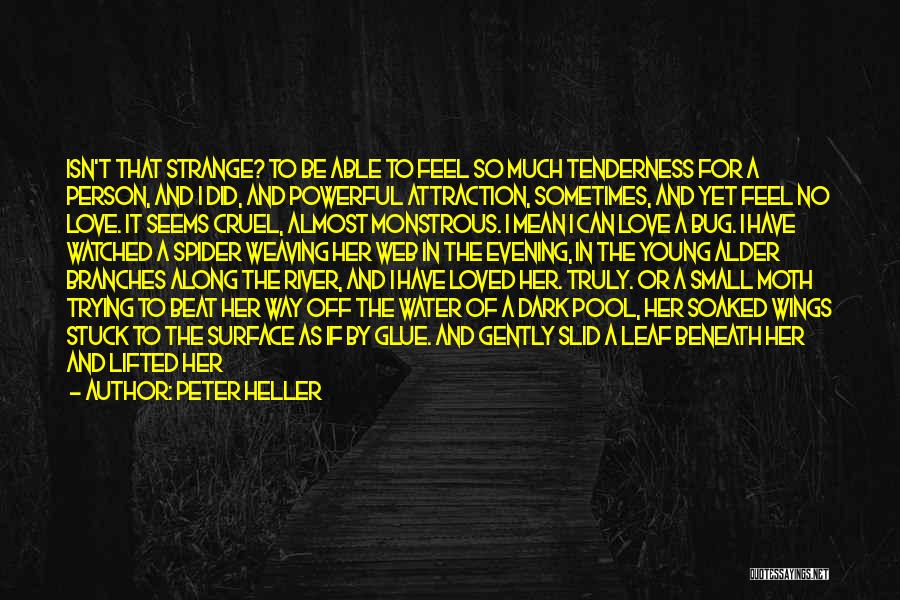 Peter Heller Quotes: Isn't That Strange? To Be Able To Feel So Much Tenderness For A Person, And I Did, And Powerful Attraction,