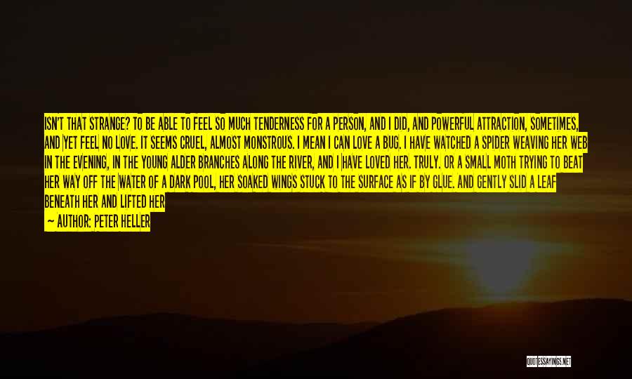 Peter Heller Quotes: Isn't That Strange? To Be Able To Feel So Much Tenderness For A Person, And I Did, And Powerful Attraction,