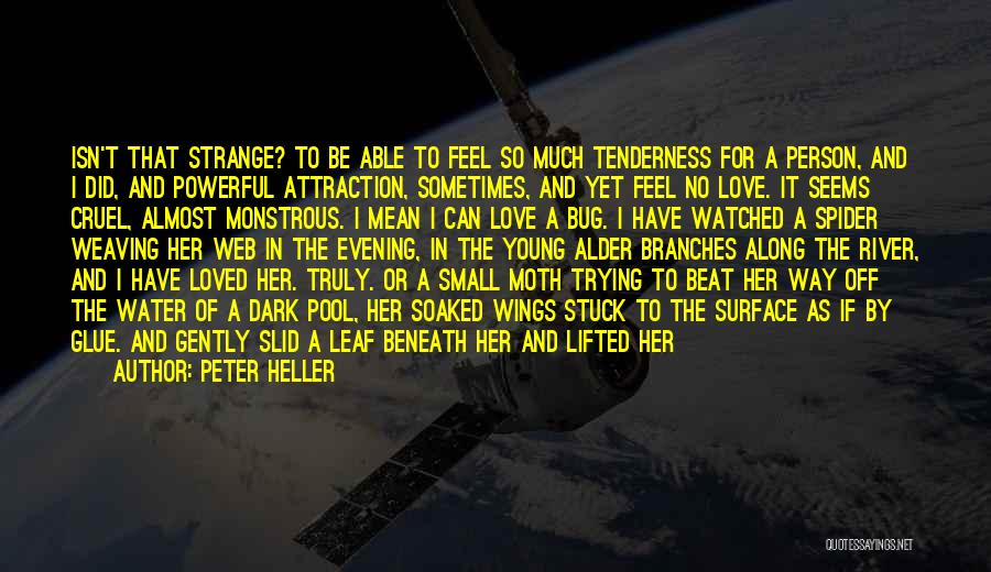 Peter Heller Quotes: Isn't That Strange? To Be Able To Feel So Much Tenderness For A Person, And I Did, And Powerful Attraction,