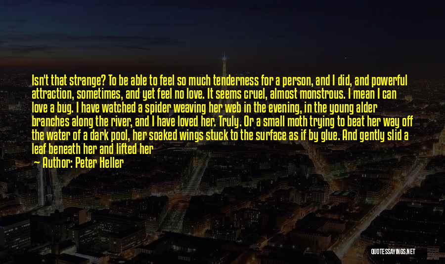 Peter Heller Quotes: Isn't That Strange? To Be Able To Feel So Much Tenderness For A Person, And I Did, And Powerful Attraction,