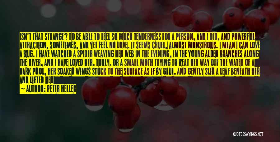 Peter Heller Quotes: Isn't That Strange? To Be Able To Feel So Much Tenderness For A Person, And I Did, And Powerful Attraction,