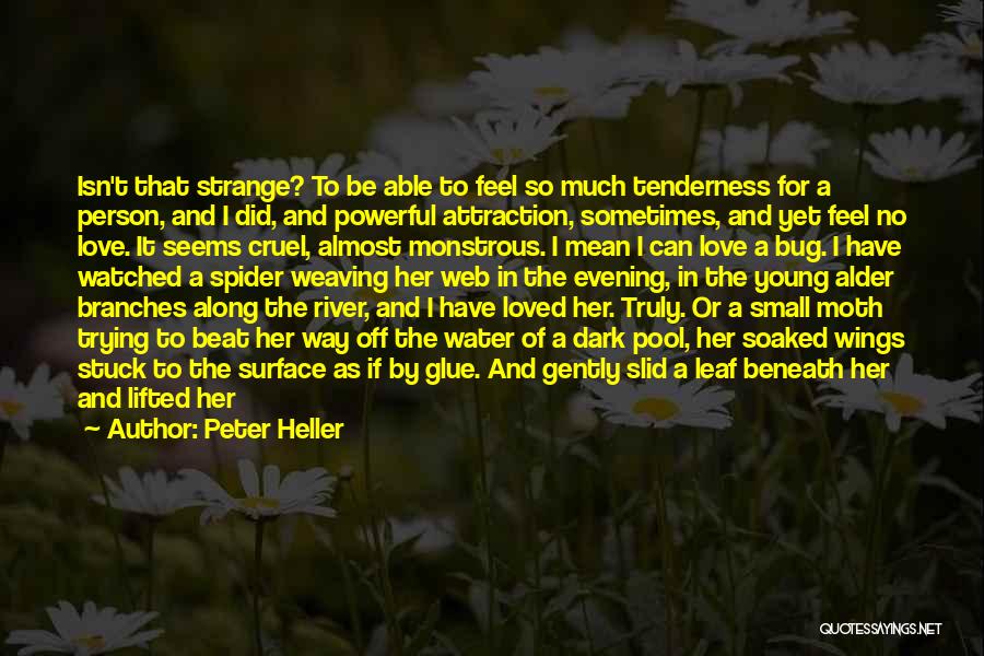 Peter Heller Quotes: Isn't That Strange? To Be Able To Feel So Much Tenderness For A Person, And I Did, And Powerful Attraction,