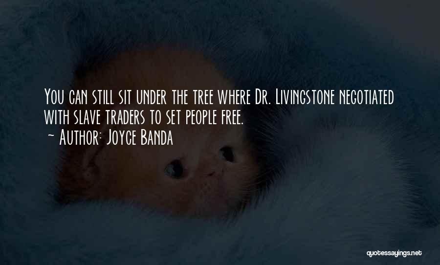 Joyce Banda Quotes: You Can Still Sit Under The Tree Where Dr. Livingstone Negotiated With Slave Traders To Set People Free.