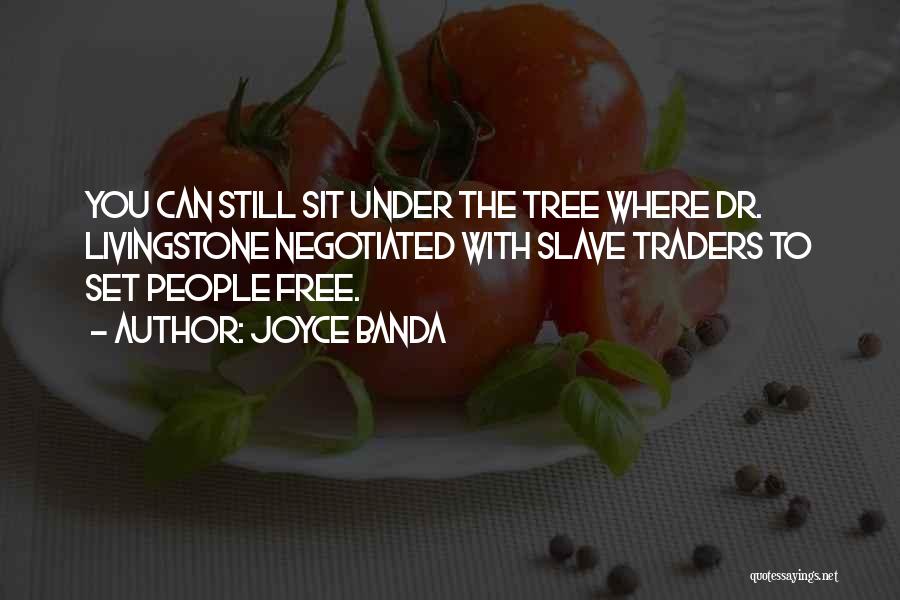 Joyce Banda Quotes: You Can Still Sit Under The Tree Where Dr. Livingstone Negotiated With Slave Traders To Set People Free.