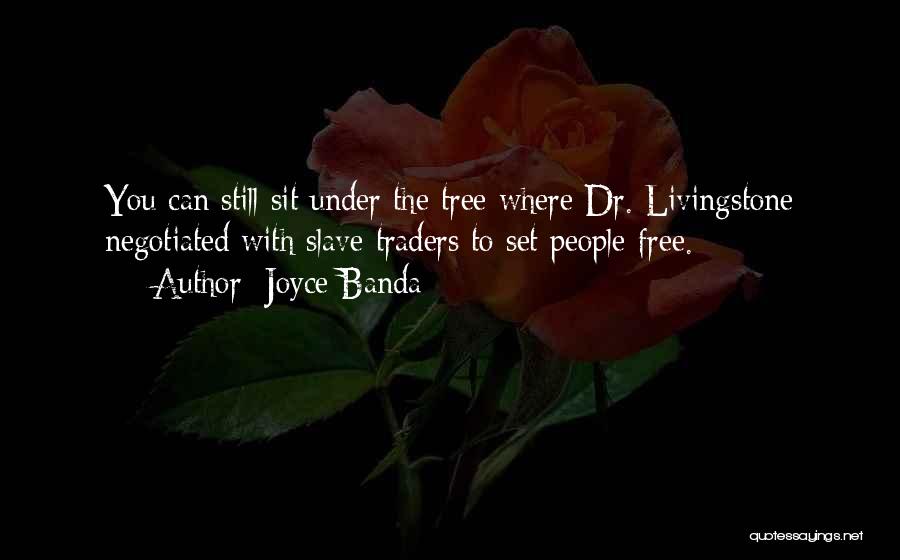 Joyce Banda Quotes: You Can Still Sit Under The Tree Where Dr. Livingstone Negotiated With Slave Traders To Set People Free.