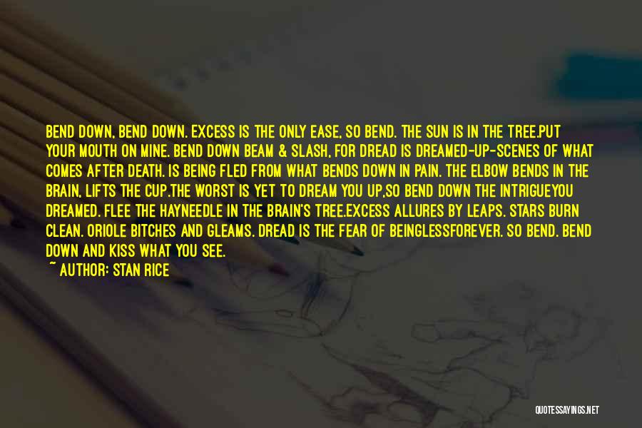 Stan Rice Quotes: Bend Down, Bend Down. Excess Is The Only Ease, So Bend. The Sun Is In The Tree.put Your Mouth On