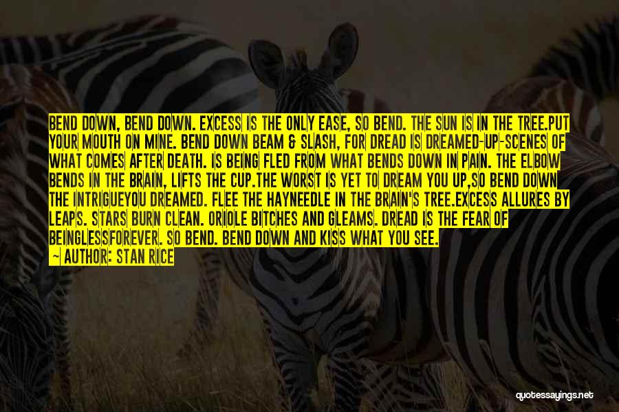 Stan Rice Quotes: Bend Down, Bend Down. Excess Is The Only Ease, So Bend. The Sun Is In The Tree.put Your Mouth On