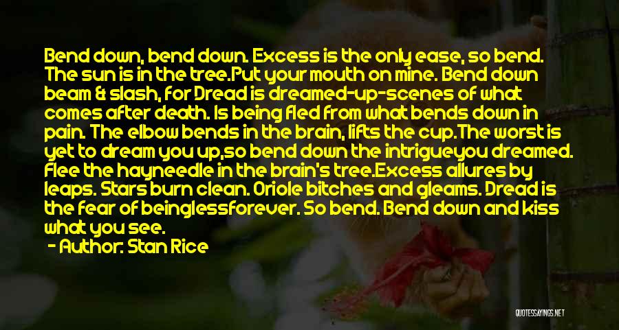 Stan Rice Quotes: Bend Down, Bend Down. Excess Is The Only Ease, So Bend. The Sun Is In The Tree.put Your Mouth On