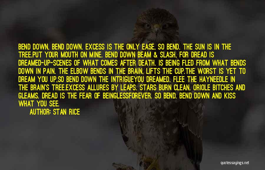 Stan Rice Quotes: Bend Down, Bend Down. Excess Is The Only Ease, So Bend. The Sun Is In The Tree.put Your Mouth On