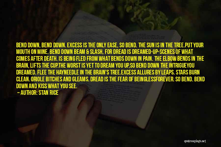 Stan Rice Quotes: Bend Down, Bend Down. Excess Is The Only Ease, So Bend. The Sun Is In The Tree.put Your Mouth On