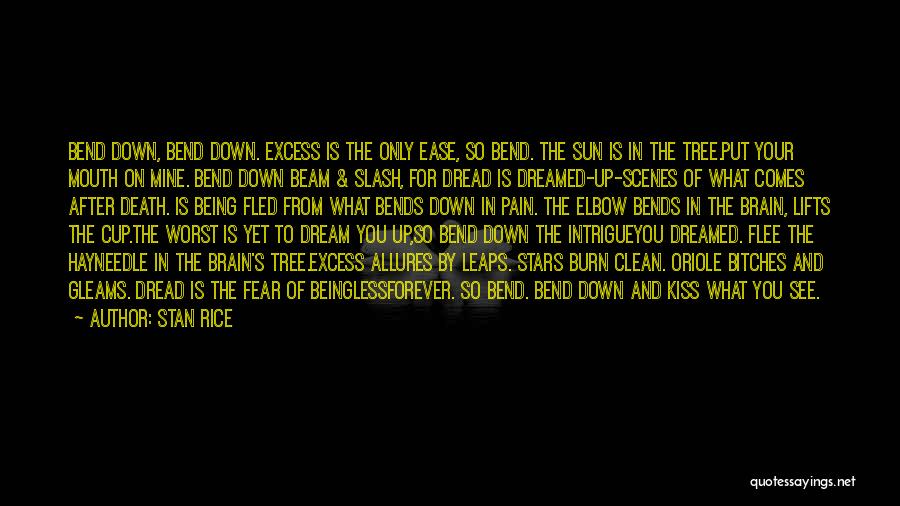 Stan Rice Quotes: Bend Down, Bend Down. Excess Is The Only Ease, So Bend. The Sun Is In The Tree.put Your Mouth On