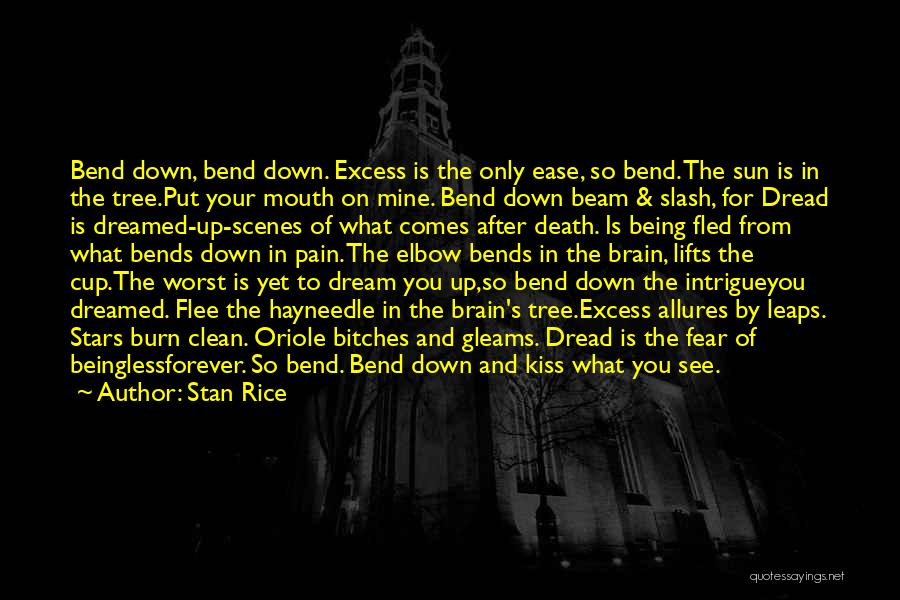 Stan Rice Quotes: Bend Down, Bend Down. Excess Is The Only Ease, So Bend. The Sun Is In The Tree.put Your Mouth On