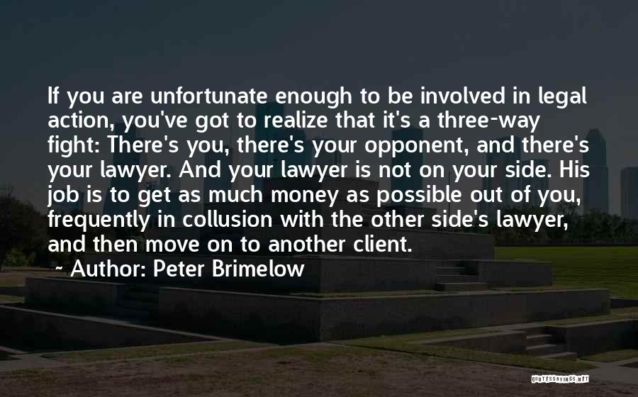 Peter Brimelow Quotes: If You Are Unfortunate Enough To Be Involved In Legal Action, You've Got To Realize That It's A Three-way Fight: