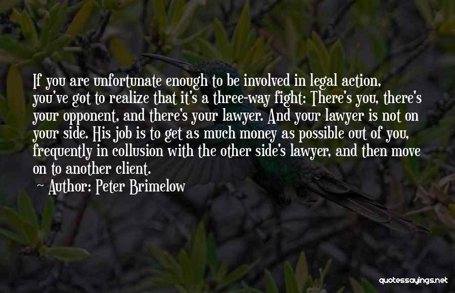 Peter Brimelow Quotes: If You Are Unfortunate Enough To Be Involved In Legal Action, You've Got To Realize That It's A Three-way Fight: