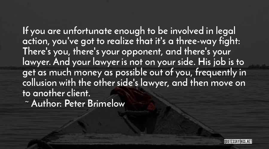 Peter Brimelow Quotes: If You Are Unfortunate Enough To Be Involved In Legal Action, You've Got To Realize That It's A Three-way Fight: