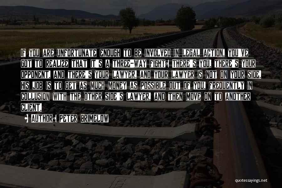 Peter Brimelow Quotes: If You Are Unfortunate Enough To Be Involved In Legal Action, You've Got To Realize That It's A Three-way Fight: