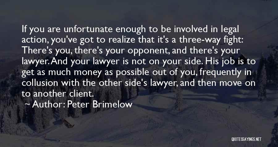 Peter Brimelow Quotes: If You Are Unfortunate Enough To Be Involved In Legal Action, You've Got To Realize That It's A Three-way Fight: