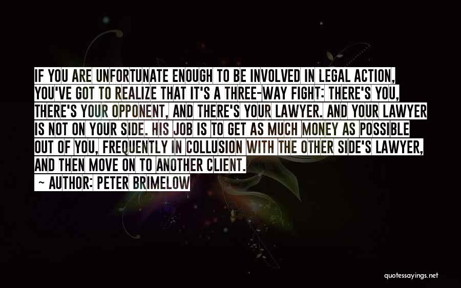 Peter Brimelow Quotes: If You Are Unfortunate Enough To Be Involved In Legal Action, You've Got To Realize That It's A Three-way Fight: