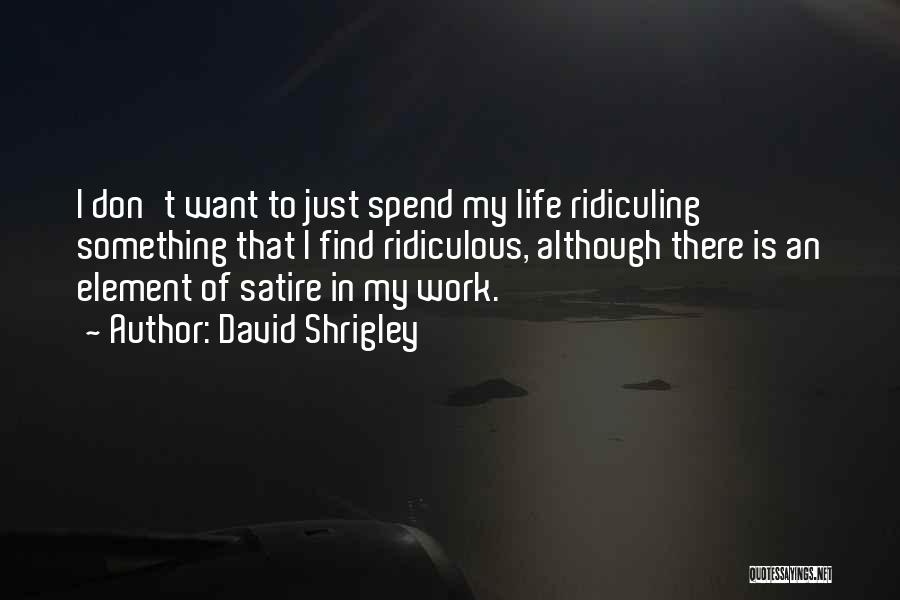 David Shrigley Quotes: I Don't Want To Just Spend My Life Ridiculing Something That I Find Ridiculous, Although There Is An Element Of