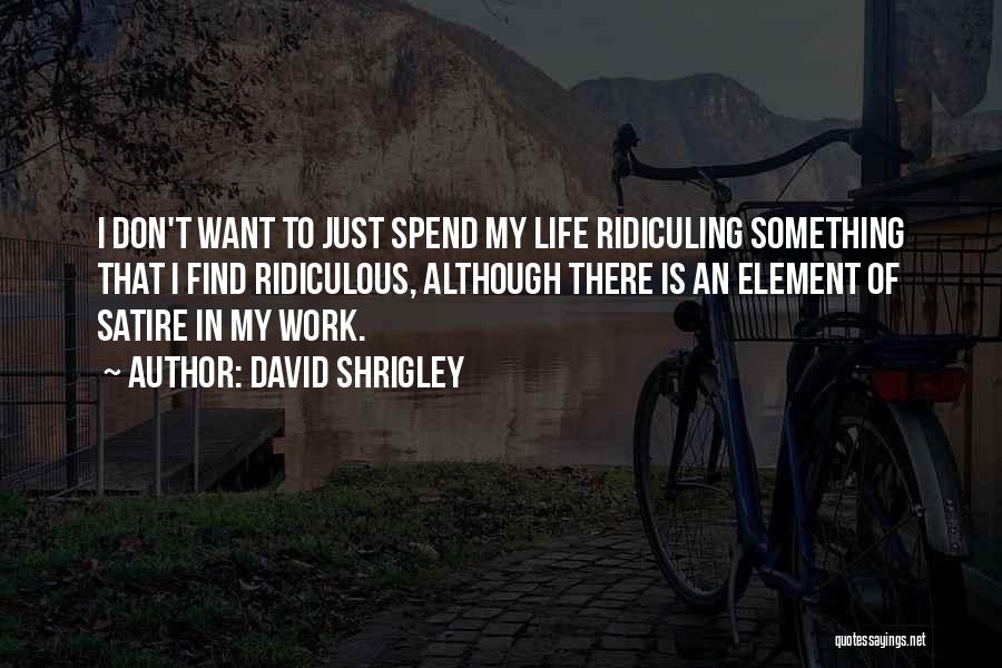 David Shrigley Quotes: I Don't Want To Just Spend My Life Ridiculing Something That I Find Ridiculous, Although There Is An Element Of