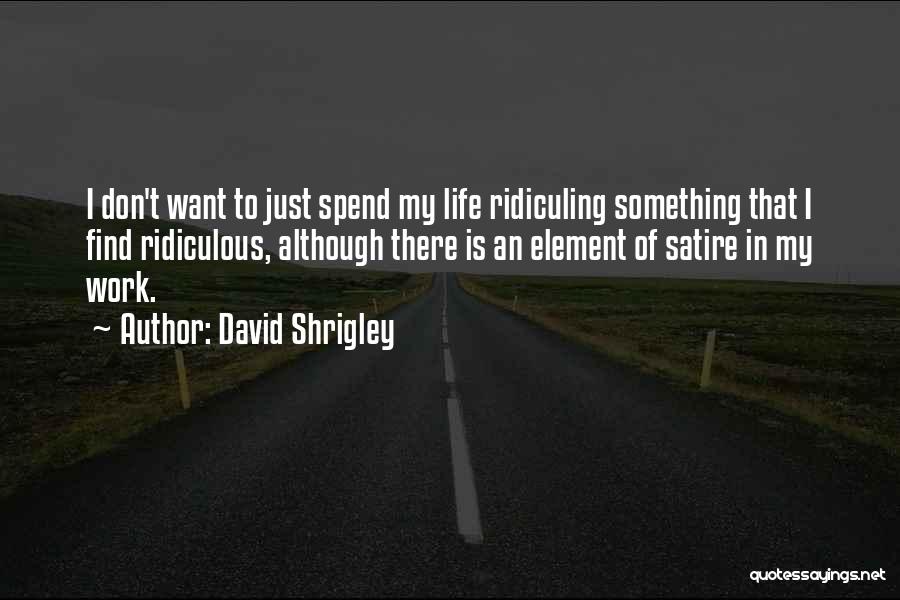 David Shrigley Quotes: I Don't Want To Just Spend My Life Ridiculing Something That I Find Ridiculous, Although There Is An Element Of