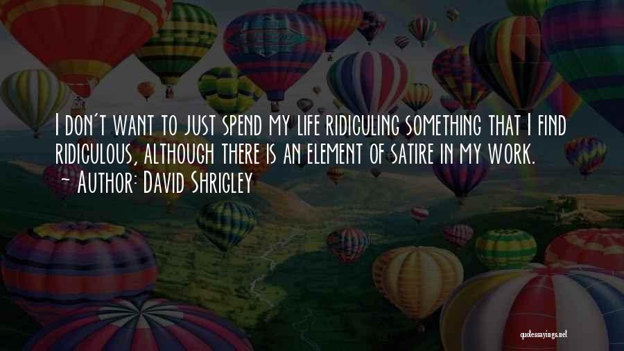 David Shrigley Quotes: I Don't Want To Just Spend My Life Ridiculing Something That I Find Ridiculous, Although There Is An Element Of