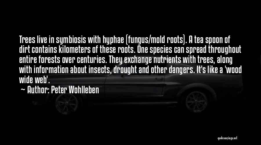 Peter Wohlleben Quotes: Trees Live In Symbiosis With Hyphae (fungus/mold Roots). A Tea Spoon Of Dirt Contains Kilometers Of These Roots. One Species