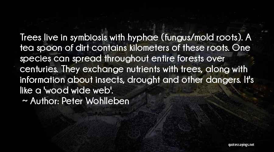 Peter Wohlleben Quotes: Trees Live In Symbiosis With Hyphae (fungus/mold Roots). A Tea Spoon Of Dirt Contains Kilometers Of These Roots. One Species