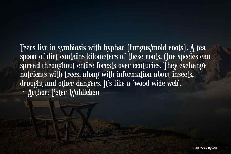 Peter Wohlleben Quotes: Trees Live In Symbiosis With Hyphae (fungus/mold Roots). A Tea Spoon Of Dirt Contains Kilometers Of These Roots. One Species