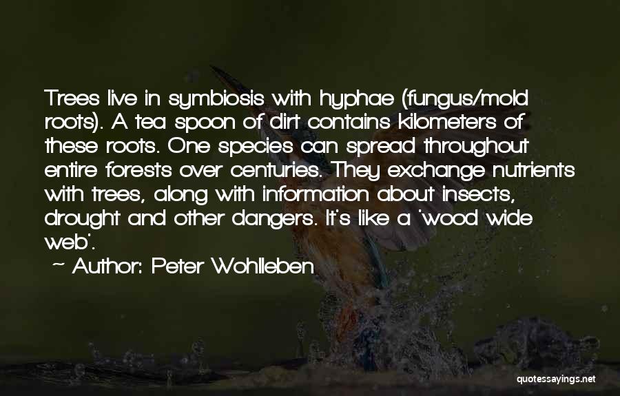 Peter Wohlleben Quotes: Trees Live In Symbiosis With Hyphae (fungus/mold Roots). A Tea Spoon Of Dirt Contains Kilometers Of These Roots. One Species