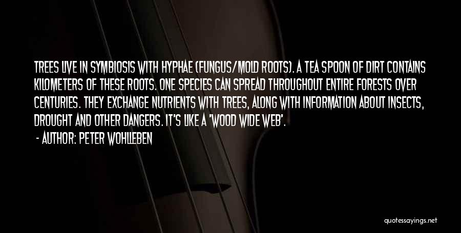 Peter Wohlleben Quotes: Trees Live In Symbiosis With Hyphae (fungus/mold Roots). A Tea Spoon Of Dirt Contains Kilometers Of These Roots. One Species