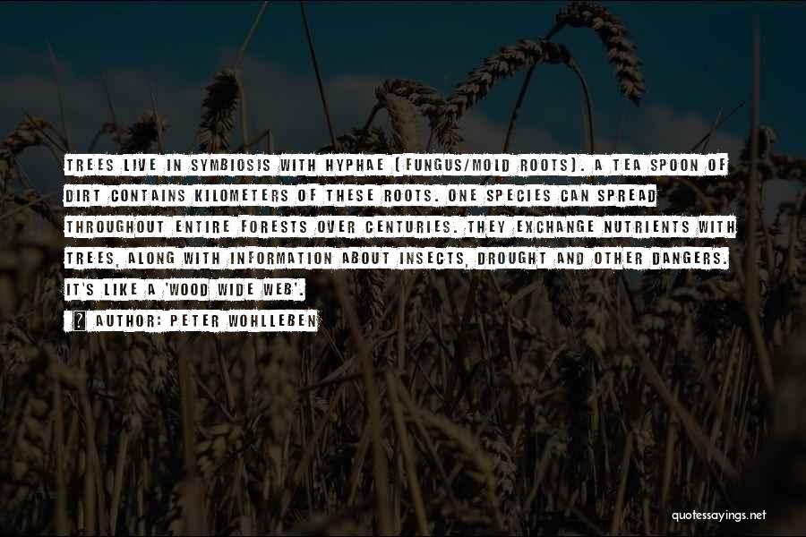Peter Wohlleben Quotes: Trees Live In Symbiosis With Hyphae (fungus/mold Roots). A Tea Spoon Of Dirt Contains Kilometers Of These Roots. One Species