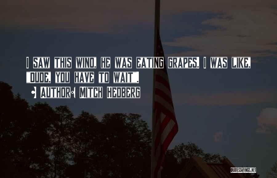 Mitch Hedberg Quotes: I Saw This Wino, He Was Eating Grapes. I Was Like, Dude, You Have To Wait.