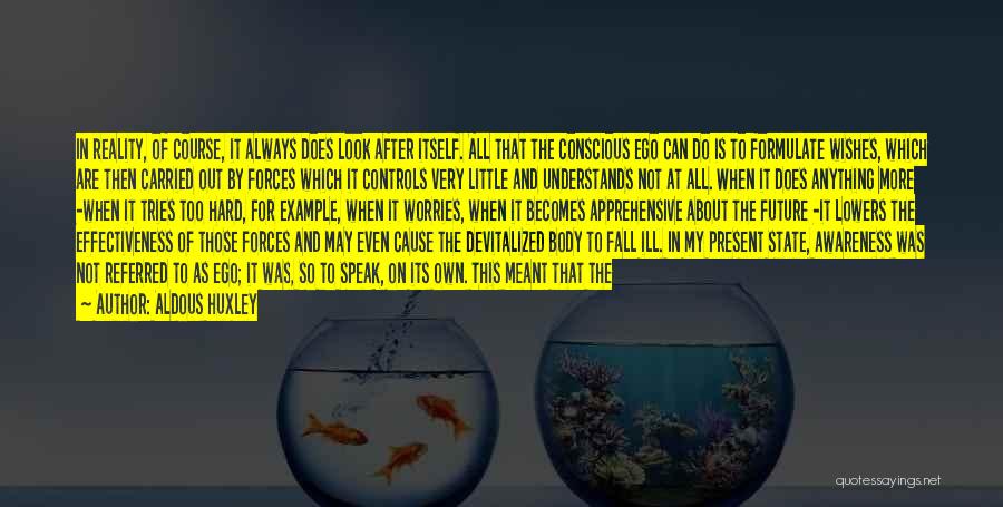 Aldous Huxley Quotes: In Reality, Of Course, It Always Does Look After Itself. All That The Conscious Ego Can Do Is To Formulate