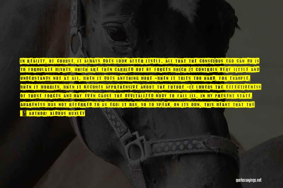 Aldous Huxley Quotes: In Reality, Of Course, It Always Does Look After Itself. All That The Conscious Ego Can Do Is To Formulate