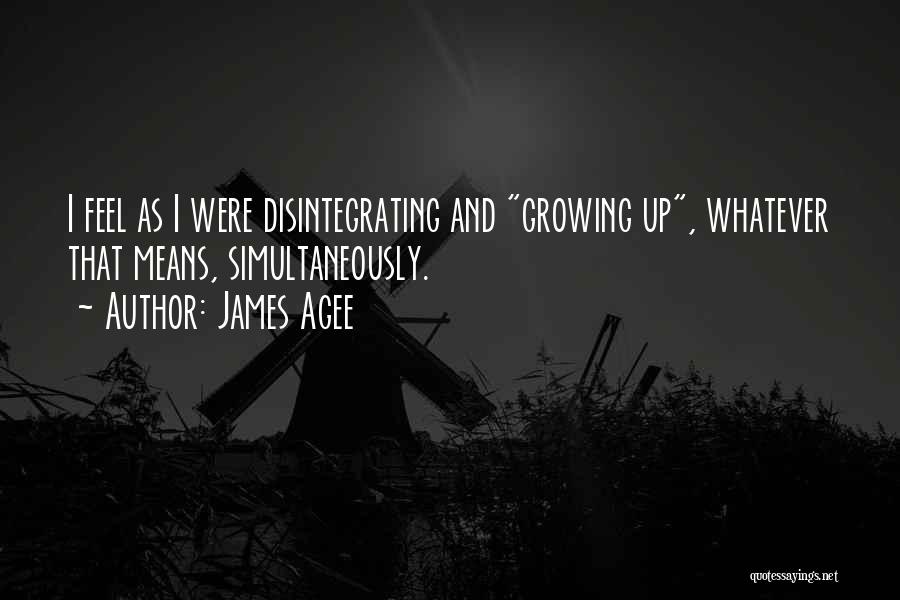 James Agee Quotes: I Feel As I Were Disintegrating And Growing Up, Whatever That Means, Simultaneously.