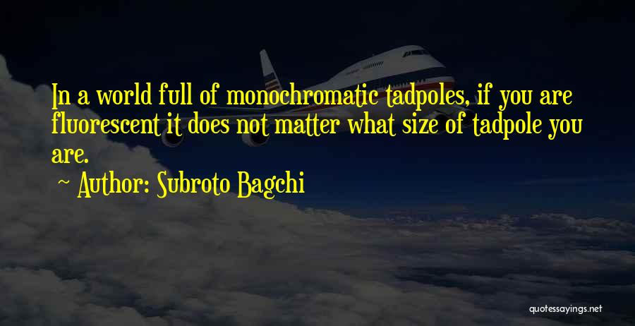 Subroto Bagchi Quotes: In A World Full Of Monochromatic Tadpoles, If You Are Fluorescent It Does Not Matter What Size Of Tadpole You